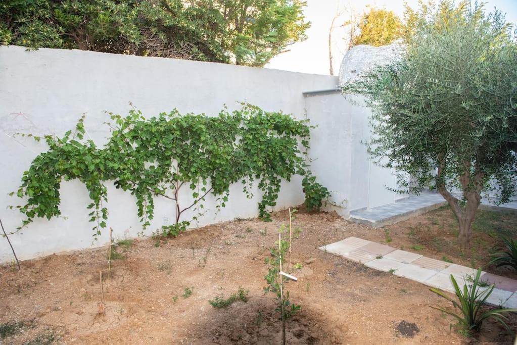 Rania 's House, Next To The Beach. * Amoudara Lasithiou