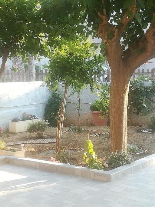 Rania 's House, Next To The Beach. Ferienhaus *