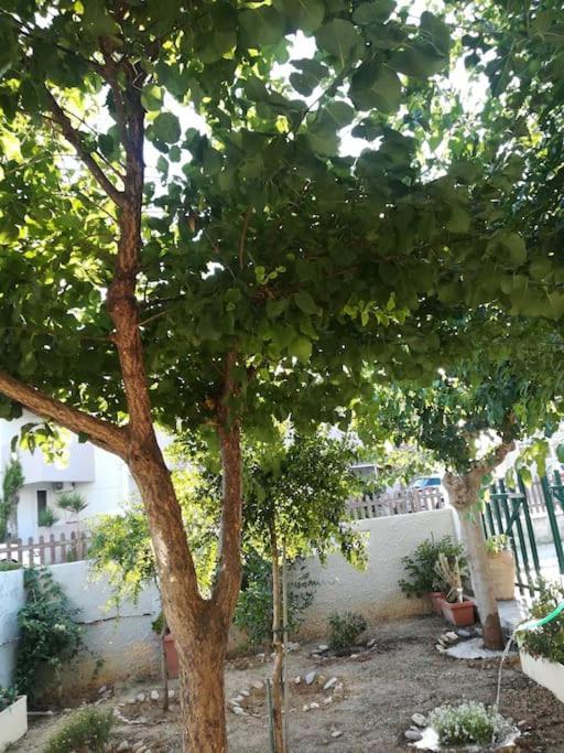 Ferienhaus Rania 's House, Next To The Beach. Amoudara Lasithiou